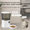 Glomarket Smart Tuya Pet Automatic Feeder Wifi 6L Dog Cat Food App التحكم عن بعد مع كاميرا تغذية تلقائية للحيوانات الأليفة