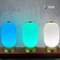 مصباح طاولة فانوس ذكي ديكور Tuya APP Alexa Google Smart WiFi LED Light