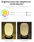 Glomarket Tuya Wifi 3D Print Smart Lantern Light 16 مليون لون تعديل مشرق