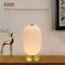 Glomarket Tuya Wifi 3D Print Smart Lantern Light 16 مليون لون تعديل مشرق