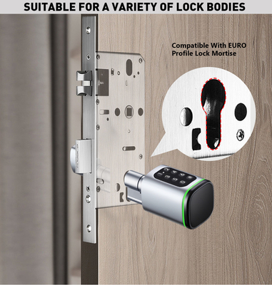 غلوماركت تويا تيتلوك Smart Digital Keyless Door Lock سلندر المزيج كلمة مرور وبطاقة إلكترونية القفل سلندرات القفل الذكي
