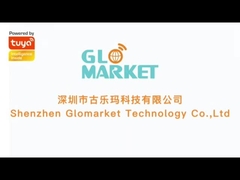 بوابة تويا زيجبي